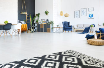 Modern, bright apartment with living room, black wall and carpet