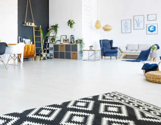 Modern, bright apartment with living room, black wall and carpet